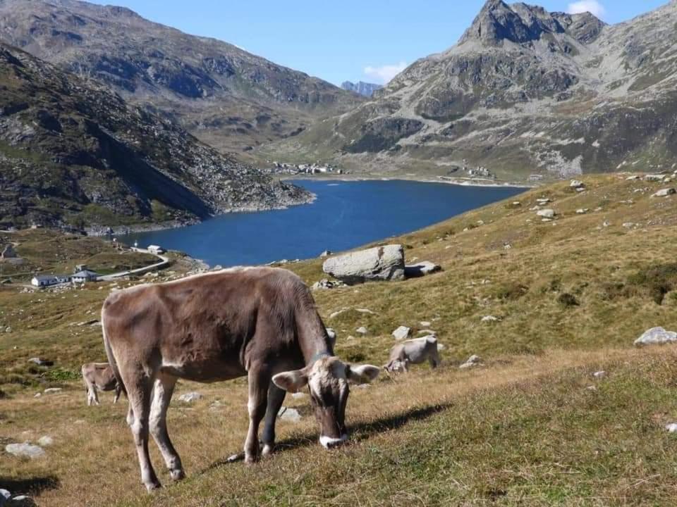 Mansarda Vista Lago A كامبودولسينو المظهر الخارجي الصورة