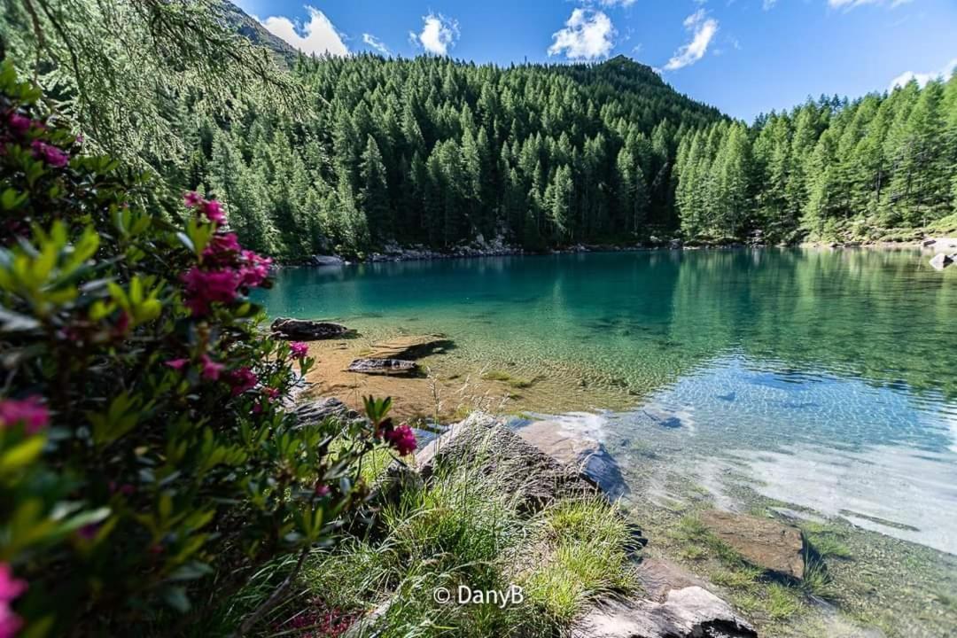 Mansarda Vista Lago A كامبودولسينو المظهر الخارجي الصورة